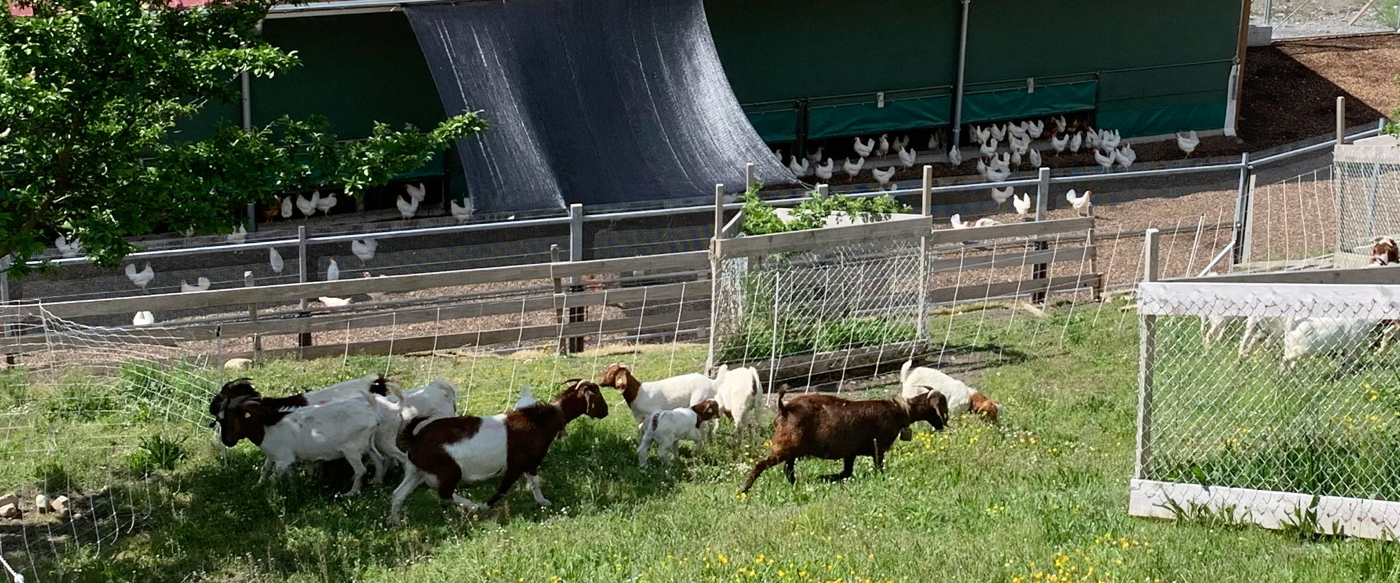 Biohof Gula – Heimat für