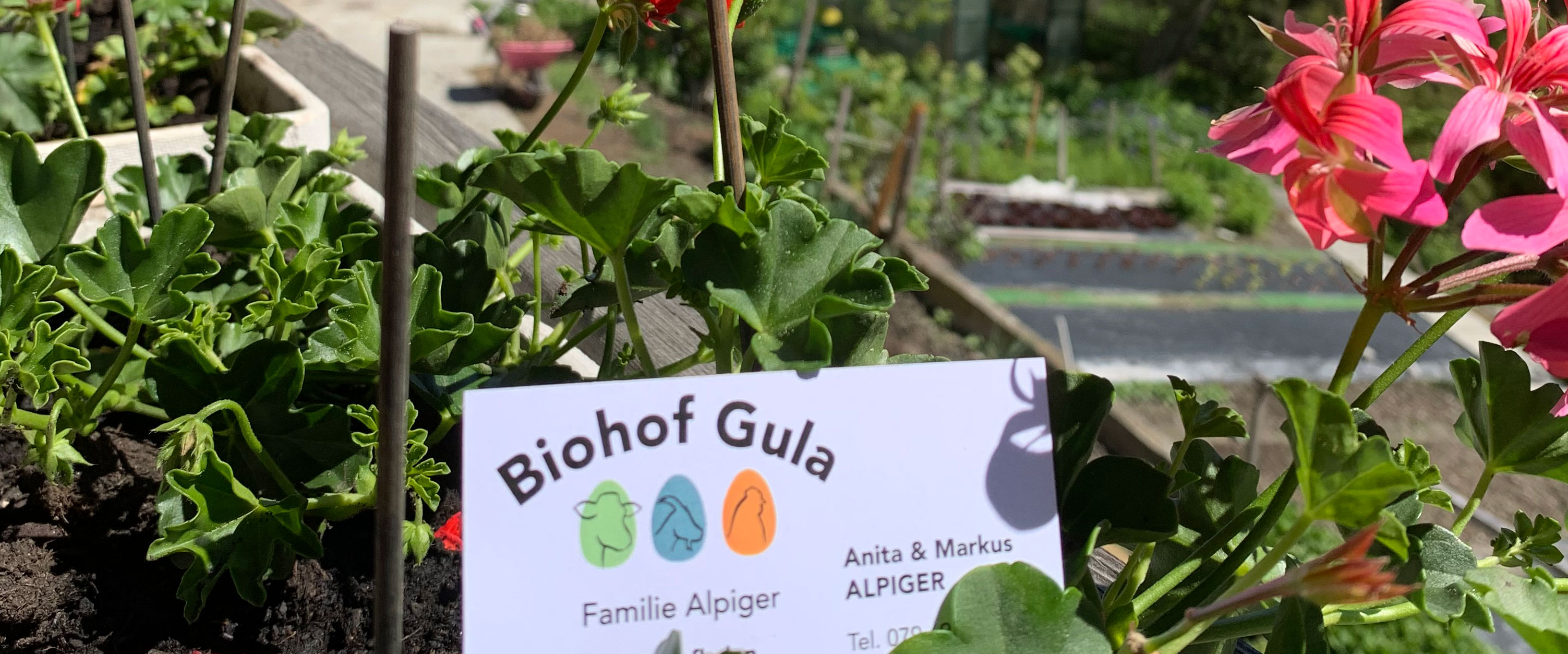 Im Hofladen finden Sie Produkte