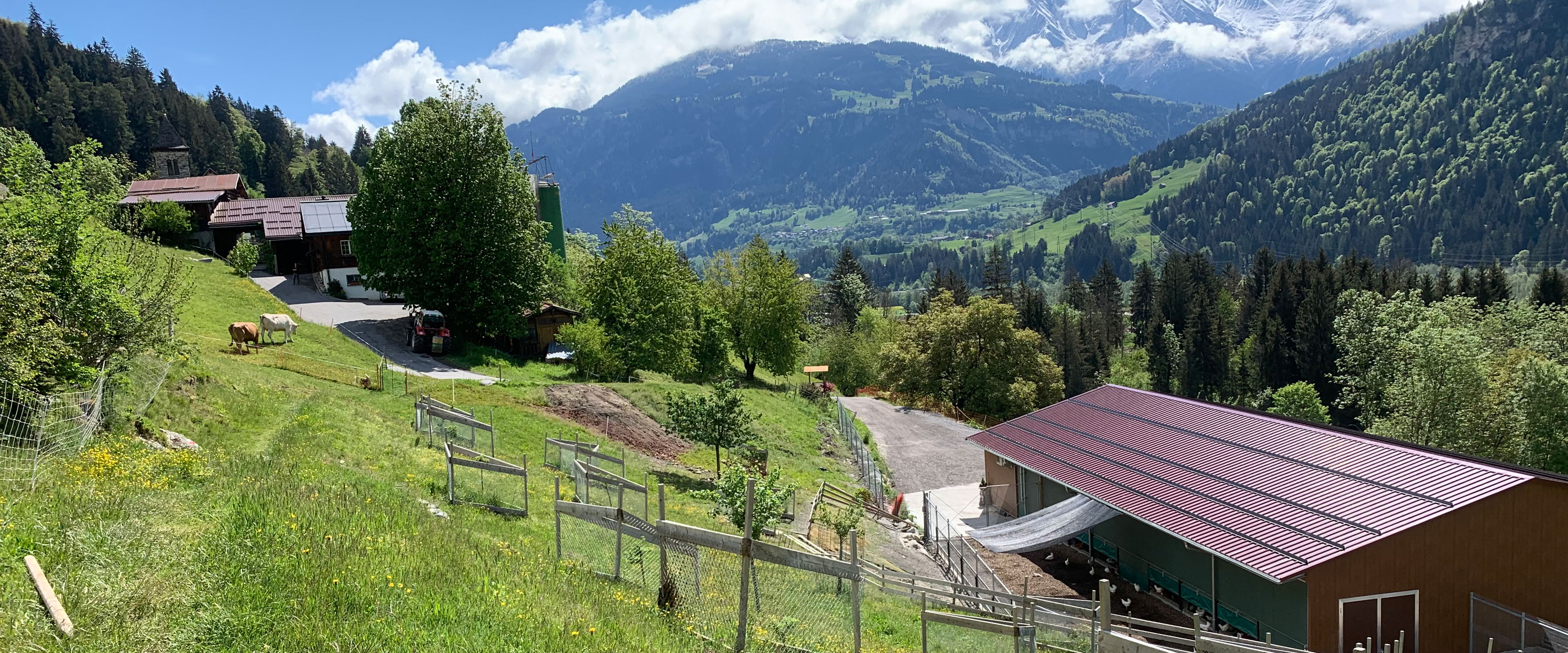 Inmitten der Bündner Berge